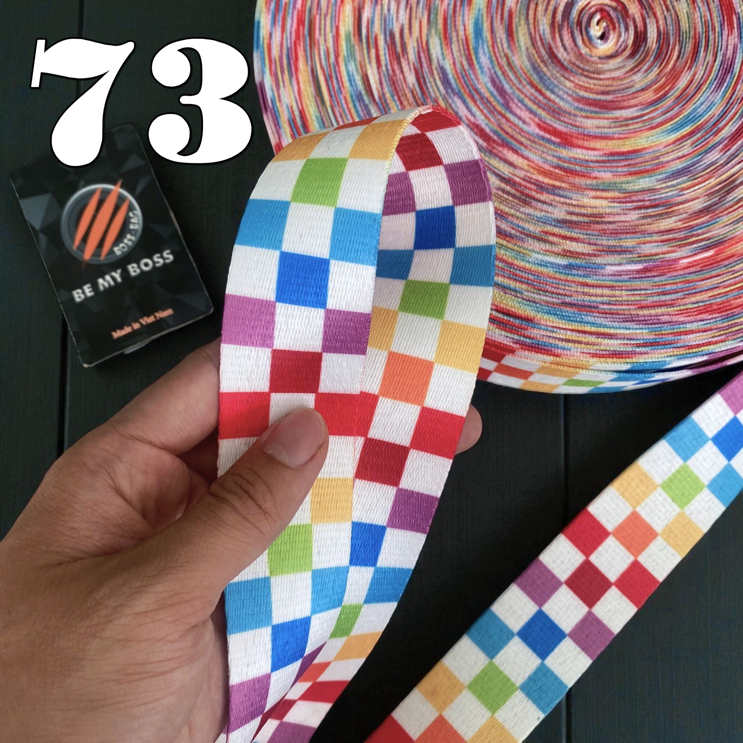 Mã 73 – Caro Raibow